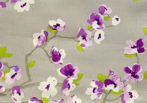 sakura-white-tea-001-arben